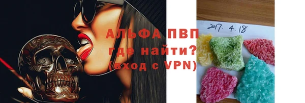 ГАЛЛЮЦИНОГЕННЫЕ ГРИБЫ Осинники