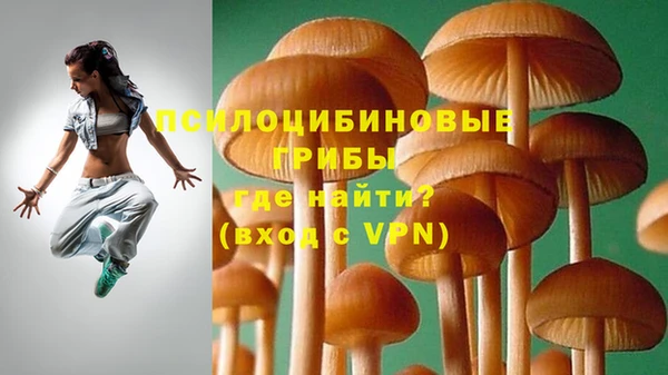 ГАЛЛЮЦИНОГЕННЫЕ ГРИБЫ Осинники