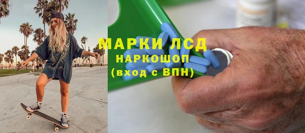 ГАЛЛЮЦИНОГЕННЫЕ ГРИБЫ Осинники