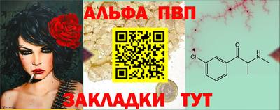 стаф Дубна