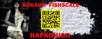 стаф Дубна