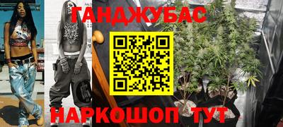 стаф Дубна