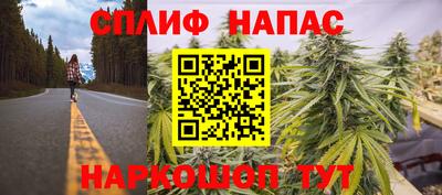 ECSTASY Донецк