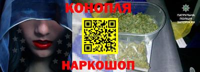 прущие грибы Апшеронск