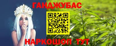 стаф Дубна