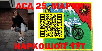 стаф Дубна