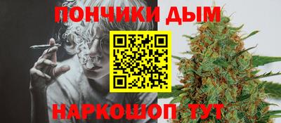 стаф Дубна