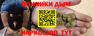 стаф Дубна