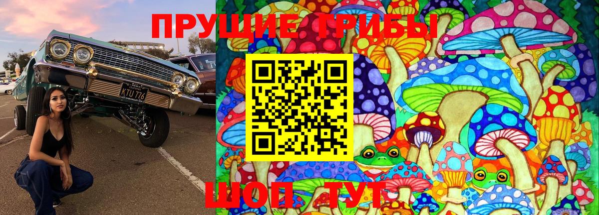 Псилоцибиновые грибы Psilocybine cubensis  Зеленокумск 