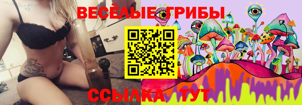 Галлюциногенные грибы прущие грибы  Галлюциногенные грибы GOLDEN TEACHER  Вход с VPN  Зеленокумск 