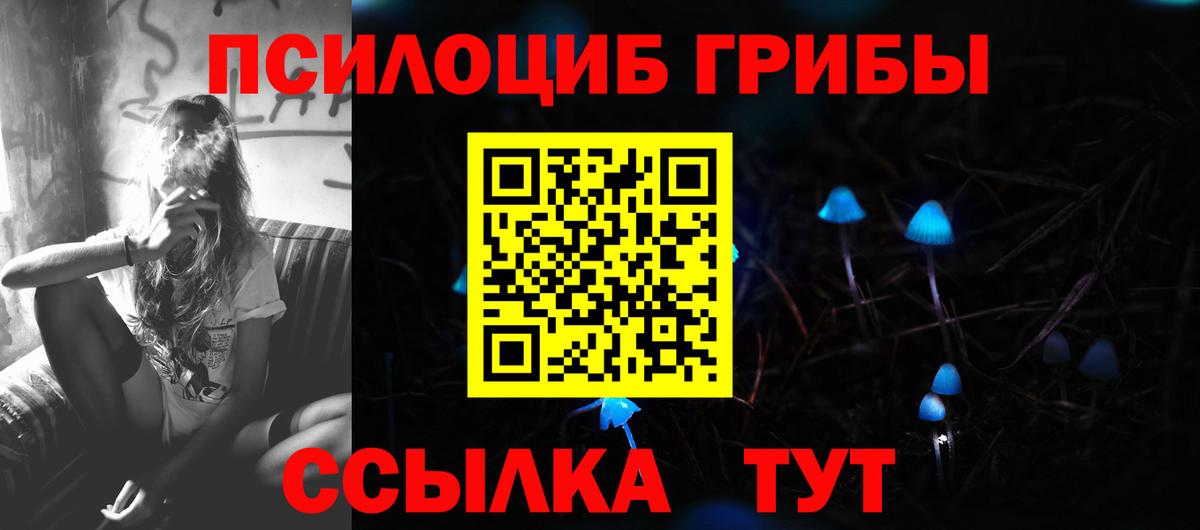 Галлюциногенные грибы Psilocybine cubensis Зеленокумск