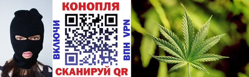 Бошки марихуана семена  Зеленокумск 
